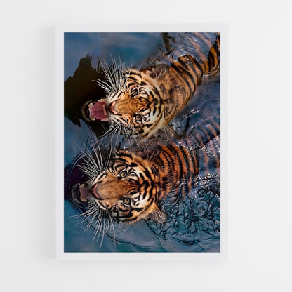 tiger-5 cadre Blanc