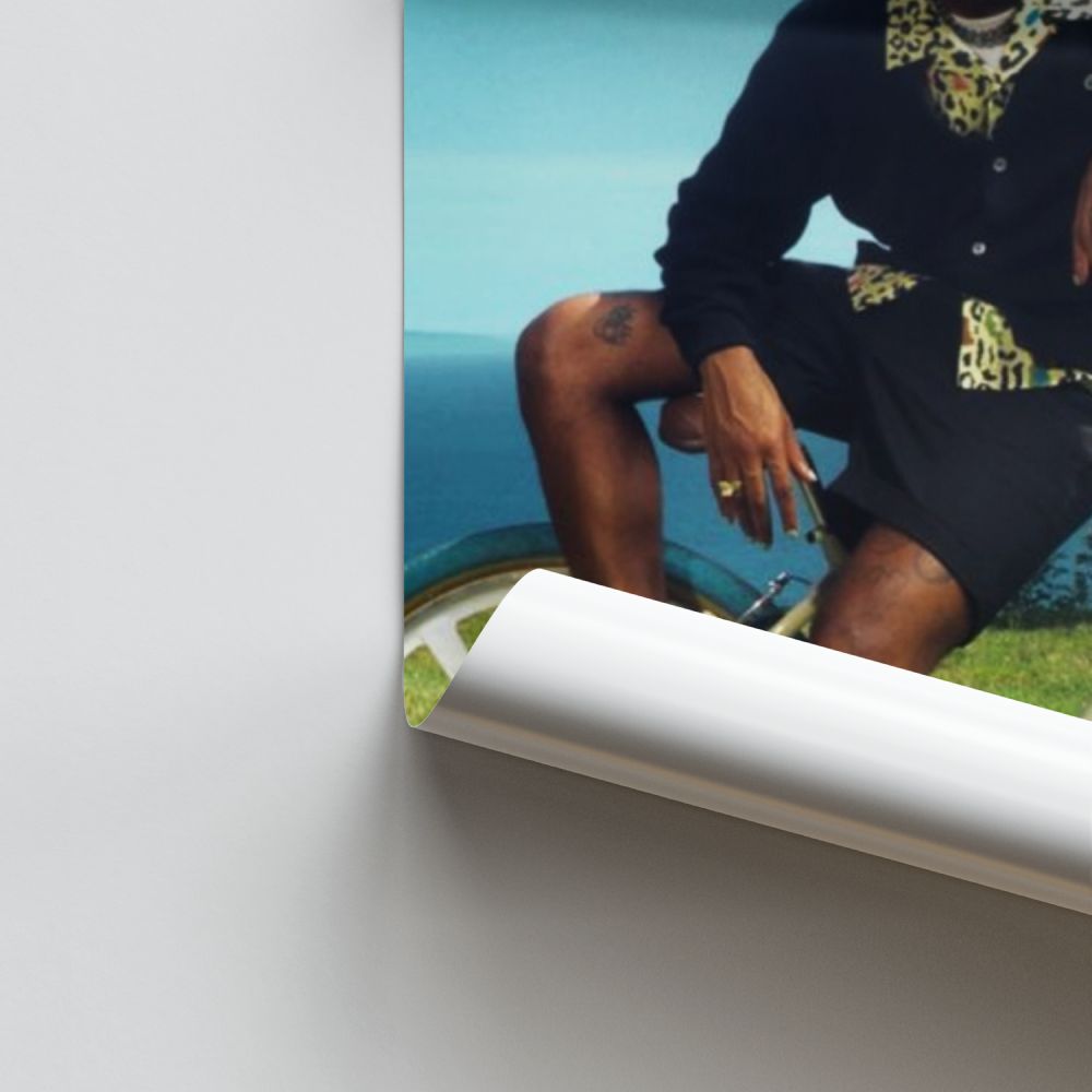 Poster della bici di Tyler The Creator