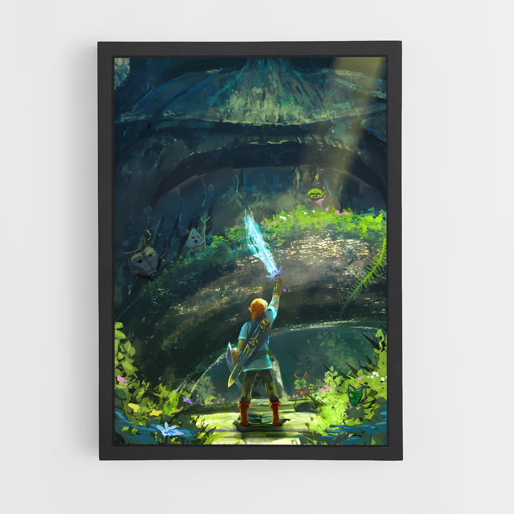zelda-6 cadre Noir