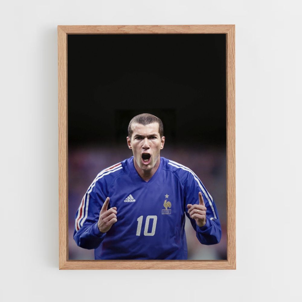 Poster Zidane Gol